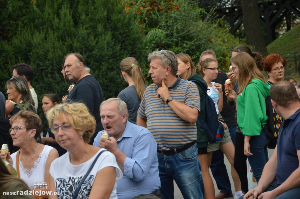 Lato w Parku