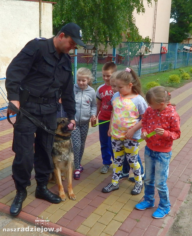 Nochal przeszedł na emeryturę. Trafił do domu swojego opiekuna [VIDEO, FOTO]
