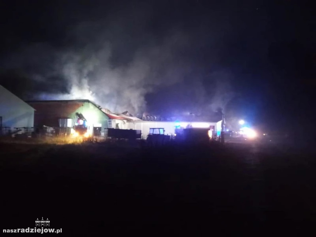Wielki pożar pod Radziejowem
