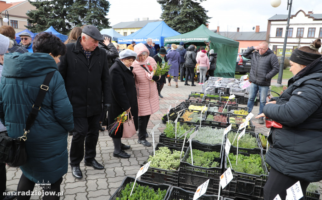 Jarmark Wielkanocny zagościł w Radziejowie