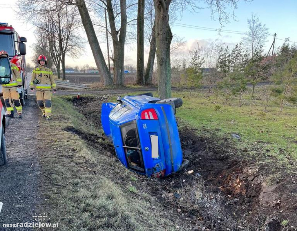 Kobieta zjechała z drogi aby uniknąć zderzenia ze zwierzęciem [FOTO]