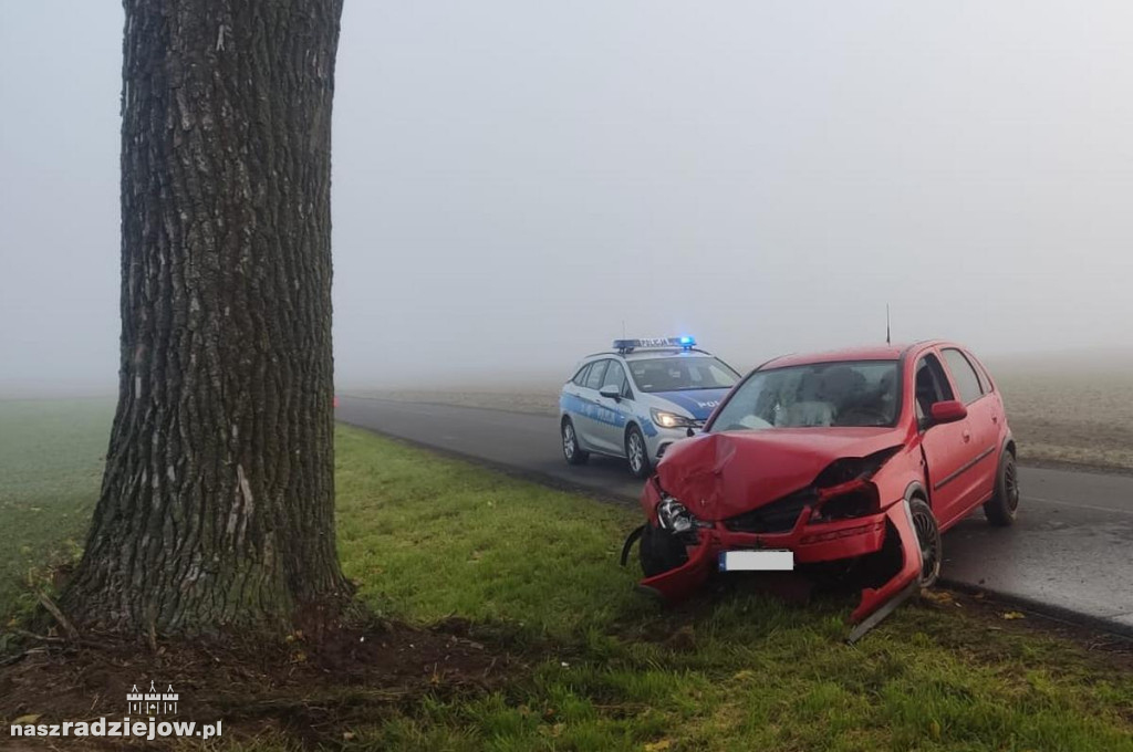 Kierowca opla nie dostosował prędkości i uderzył w drzewo. Zakończyło się na mandacie dla sprawcy.