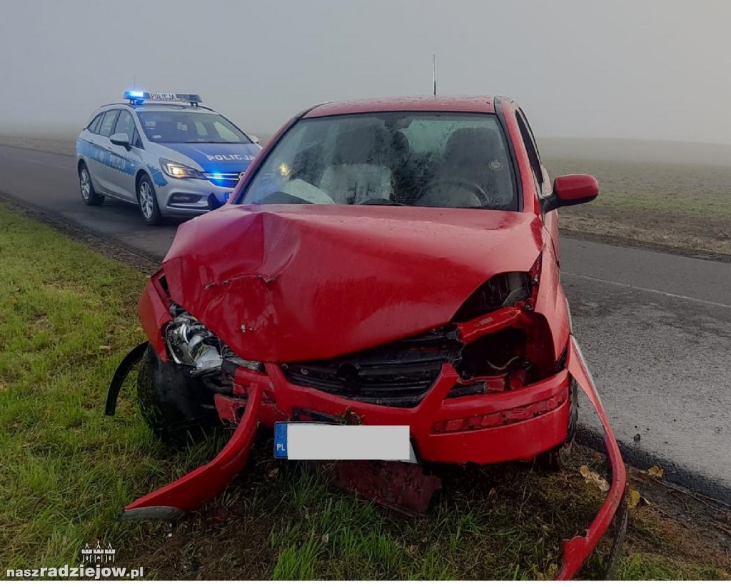 Kierowca opla nie dostosował prędkości i uderzył w drzewo. Zakończyło się na mandacie dla sprawcy.