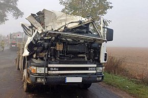 Kierujący scanią chciał uniknąć zderzenia z sarną. Mogło skończyć się tragicznie-320