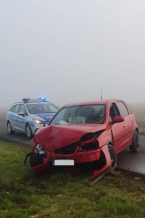 Kierowca opla nie dostosował prędkości i uderzył w drzewo. Zakończyło się na mandacie dla sprawcy.-323