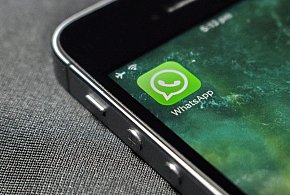 WhatsApp się zmienia. Czy aplikacja będzie płatna?-10144