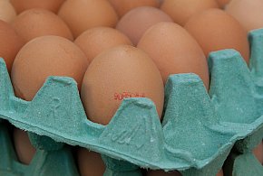 Salmonella na jajach znanej marki. Nie jedz, jeśli masz je w lodówce!-10226