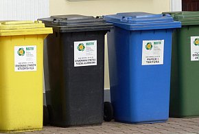 Koniec z darmowymi workami na śmieci. Tak zmieniają się zasady w gminach-10319