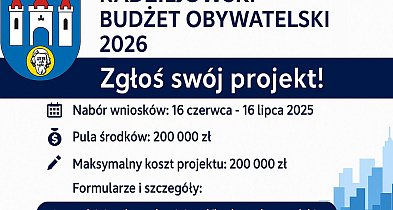 Radziejowski Budżet Obywatelski 2026. Ruszył nabór projektów-10343
