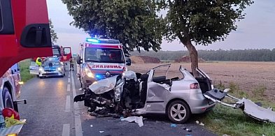 Witowo Kolonia: groźny wypadek na drodze wojewódzkiej nr 267-10541