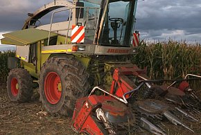 Ktoś umieścił metalowe przedmioty na polu kukurydzy, aby zniszczyć kombajn-10844