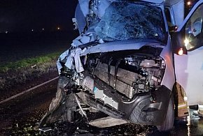 Kolizja w Jarantowicach. Kierowca busa trafił do szpitala [ZDJĘCIA]-11022