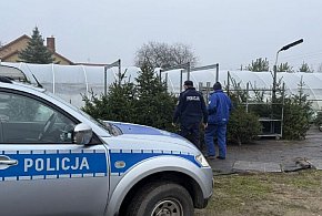 Akcja „Choinka” w powiecie radziejowskim-11370