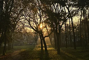 Nadchodzi najkrótszy dzień w 2025 roku. Sprawdź, kiedy przypadnie-11386