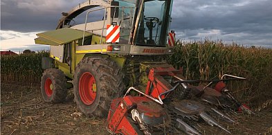 Ktoś umieścił metalowe przedmioty na polu kukurydzy, aby zniszczyć kombajn-10844