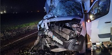 Kolizja w Jarantowicach. Kierowca busa trafił do szpitala [ZDJĘCIA]-11022