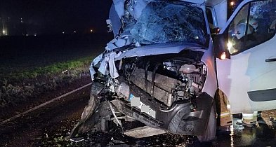 Kolizja w Jarantowicach. Kierowca busa trafił do szpitala [ZDJĘCIA]-11022