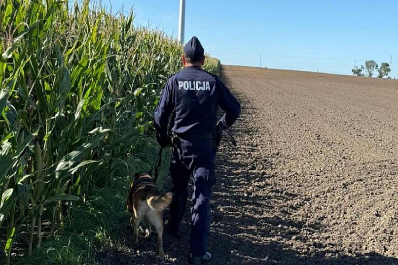 Ktoś umieścił metalowe przedmioty na polu kukurydzy, aby zniszczyć kombajn